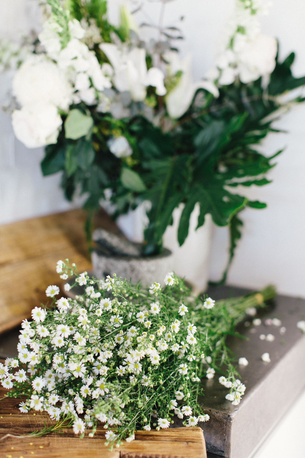 Lizzy + Johnny | Byron Bay Wedding Venue | The Events Lounge - Byron Bay Wedding Planner and Stylist - www.theeventslounge.com.au