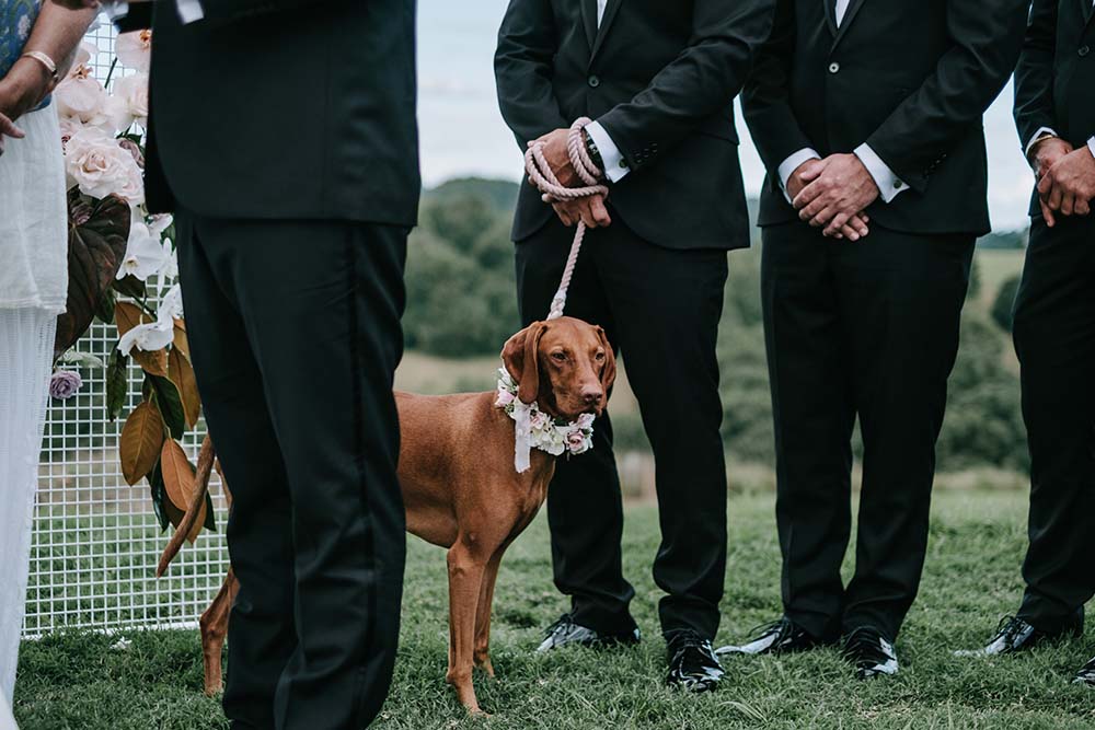 Amy + Brett - The Orchard Estate Byron Bay Wedding | The Events Lounge - Byron Bay Wedding Planner and Stylist | www.theeventslounge.com.au