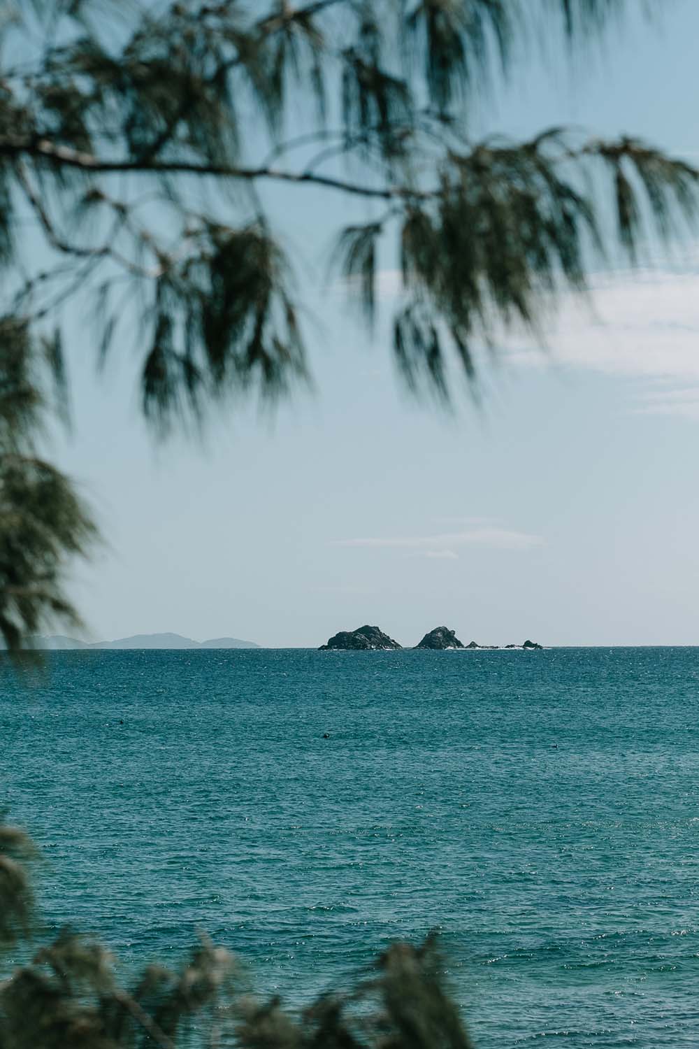 Amy + Brett - The Orchard Estate Byron Bay Wedding | The Events Lounge - Byron Bay Wedding Planner and Stylist | www.theeventslounge.com.au