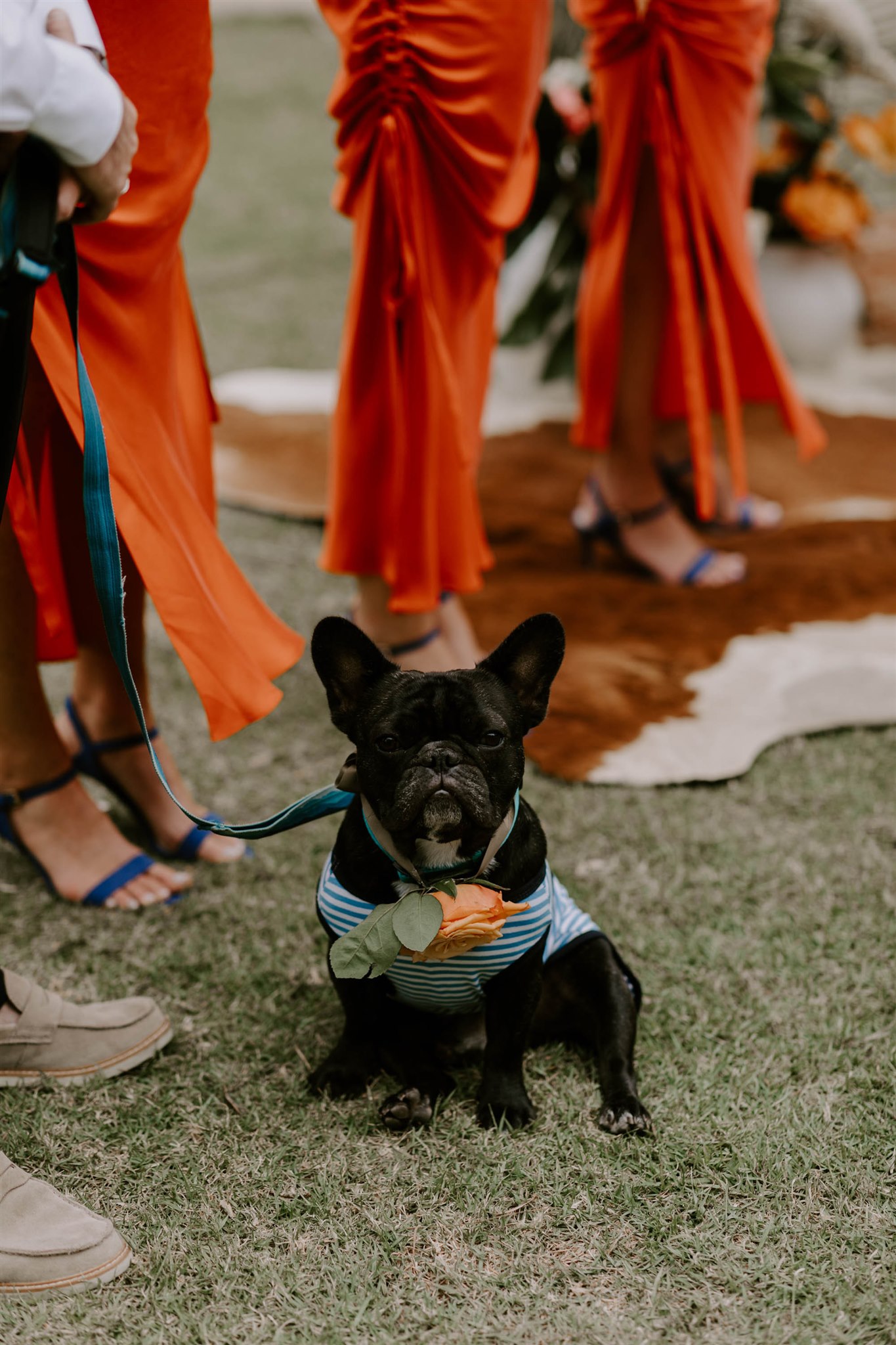 Real Wedding: Steph + Andrew, Mediterranean Luxe at Raes on Wategos | The Events Lounge, Byron Bay Wedding Planner