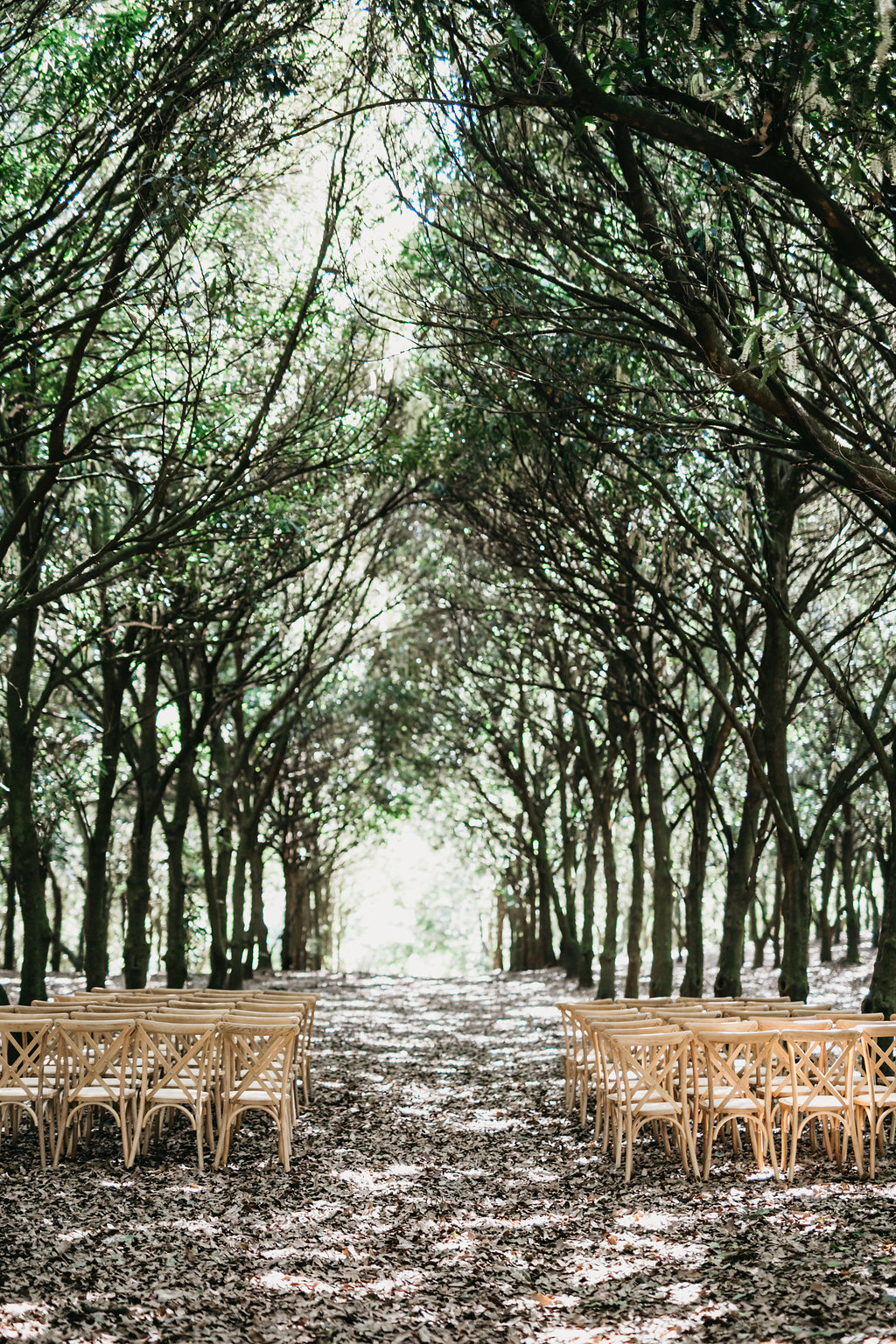 Real Wedding: Anabela + Mathias, Hinterland Romance at The Orchard Estate, Byron Bay