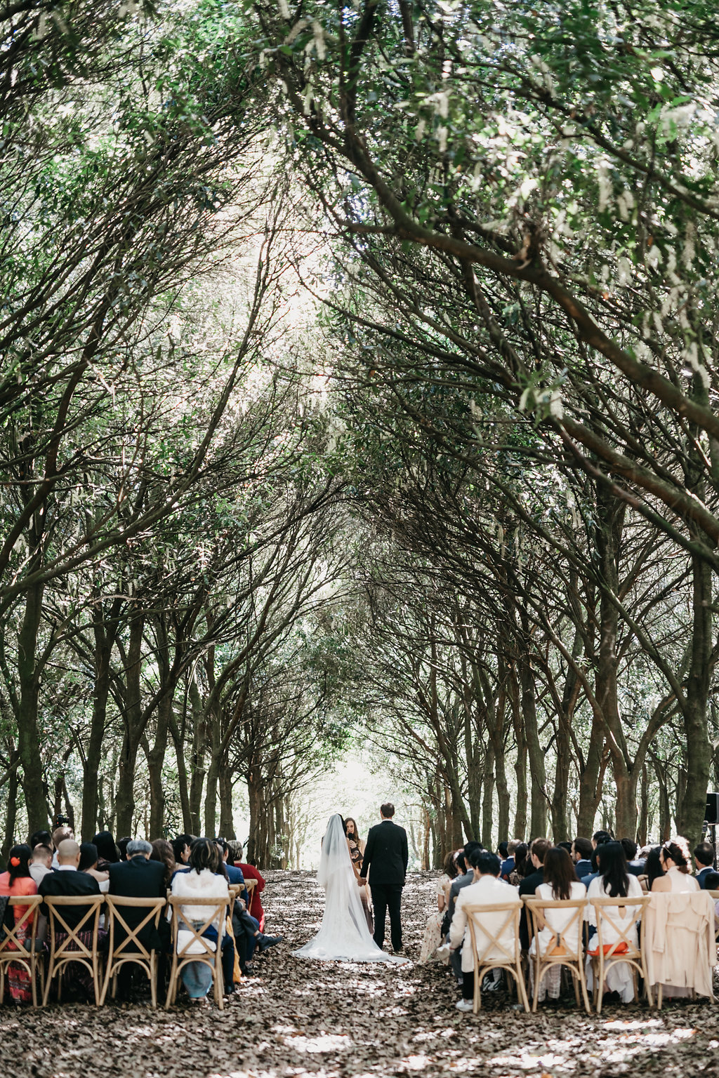 Real Wedding: Anabela + Mathias, Hinterland Romance at The Orchard Estate, Byron Bay